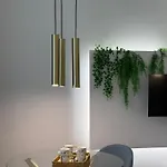 Domus Fysi